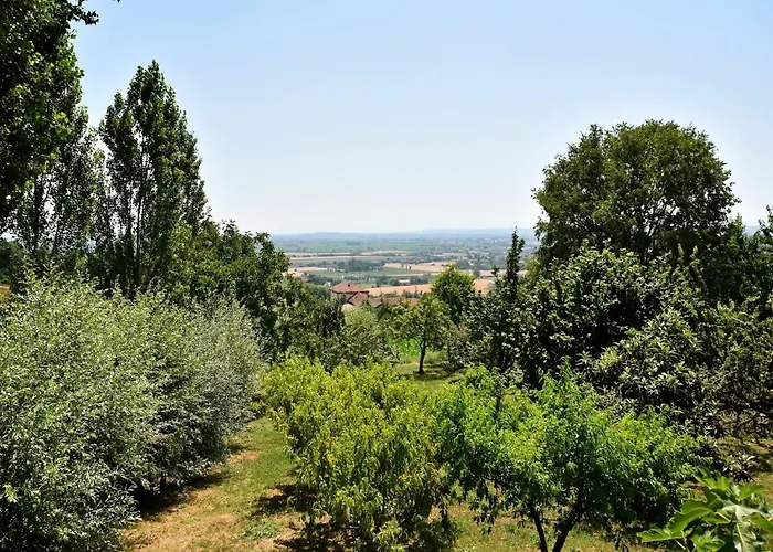 Apartamento Garden In Casale *